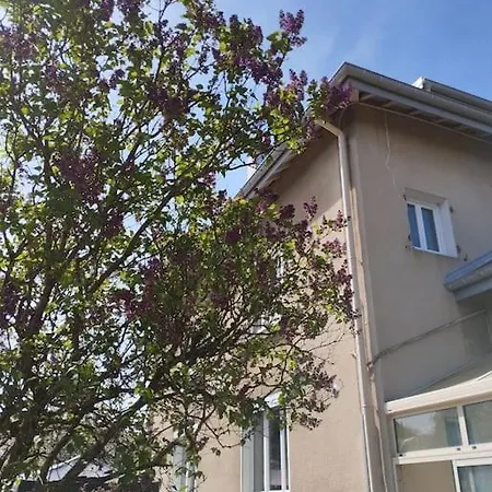 Apartment Authentique, Vintage, Harmonieux Et Wifi Rapide Urimenil